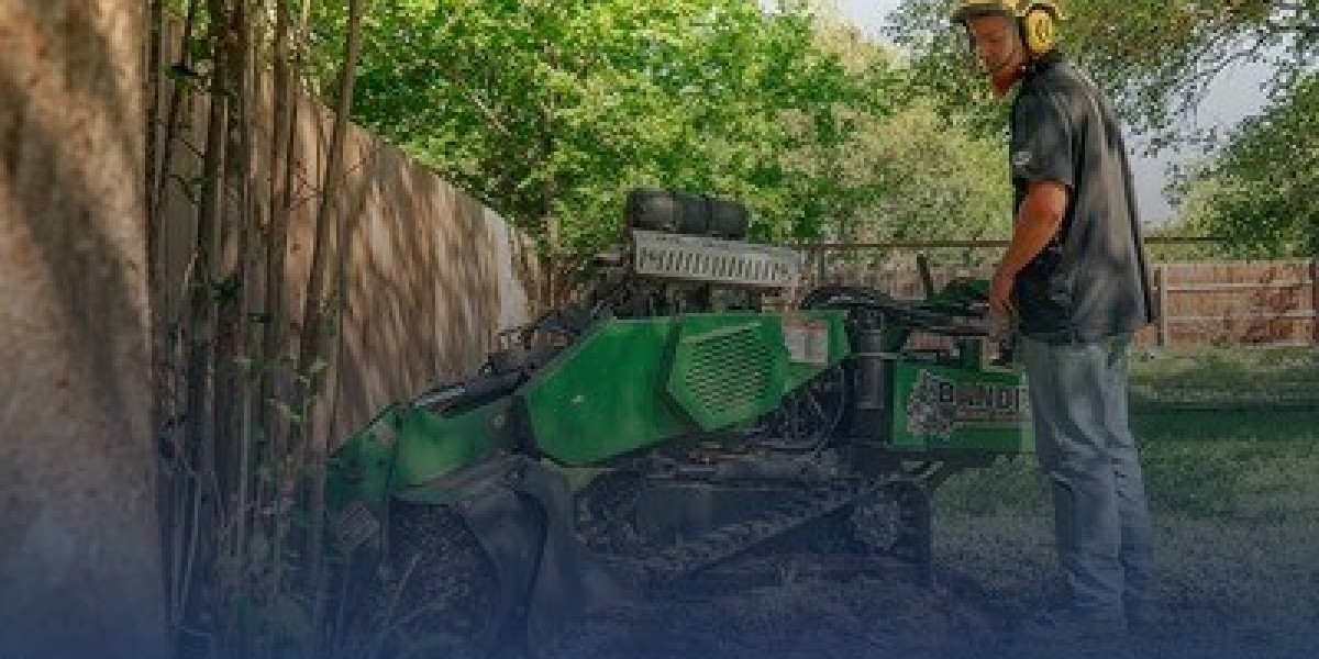 10 Easy Signs You Need Certified Arborist Services