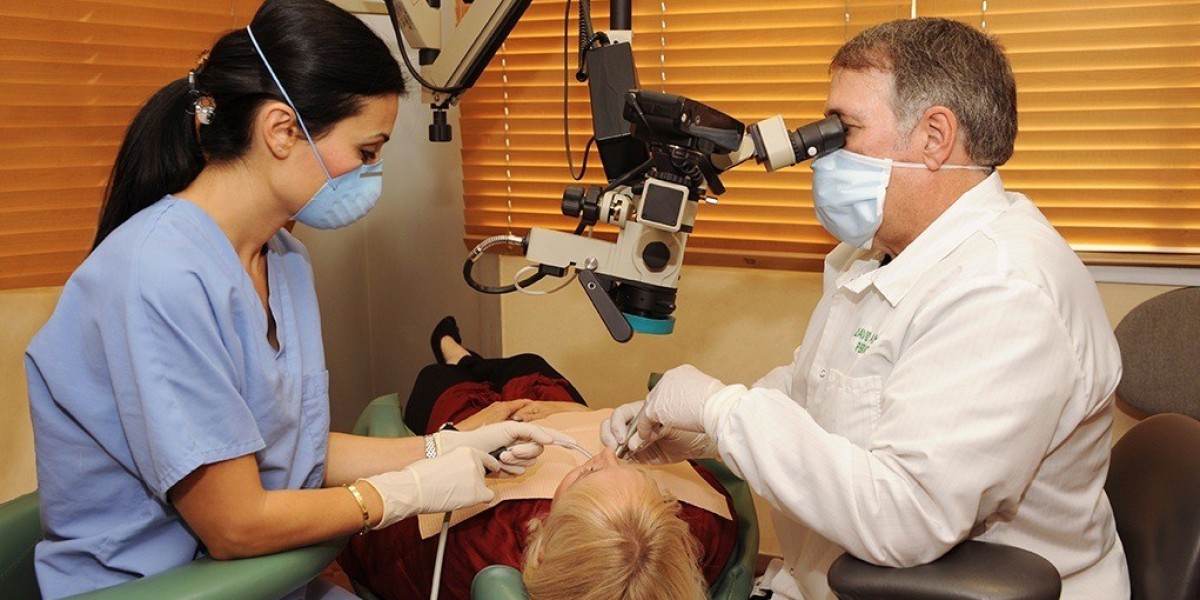 Dental Microsurgery Market Size and Forecast 2025 - 2033