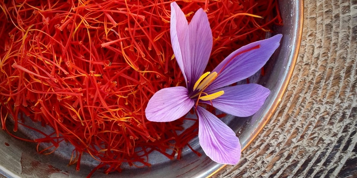 Premium Spice Demand Driving the Japan Saffron Market
