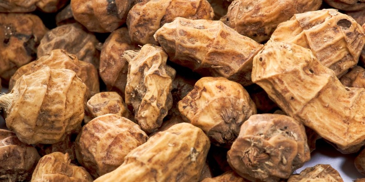 Tiger Nut Market Trends Highlight Expansion in Vegan and Gluten-Free Products