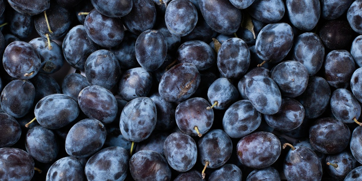 Global Umeshu Market Expected to Expand Significantly by 2033