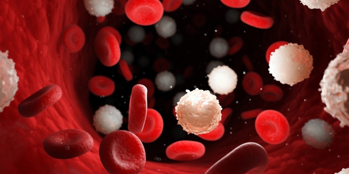 Anemia in Women in Dubai: Causes, Risks, and Prevention