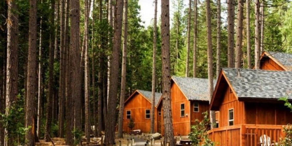 Yosemite National Park California: Complete Visitor Guide