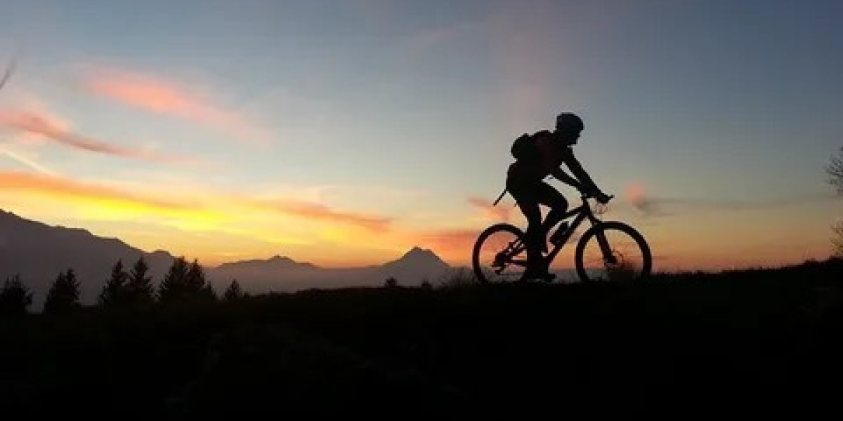 Global Bicycle Trip Market Growth, Trends & Forecast 2026–2036