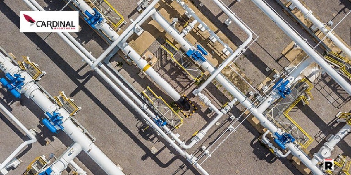 Pipeline Integrity Market Segmentation: Oil & Gas, Water, and Industrial Pipelines