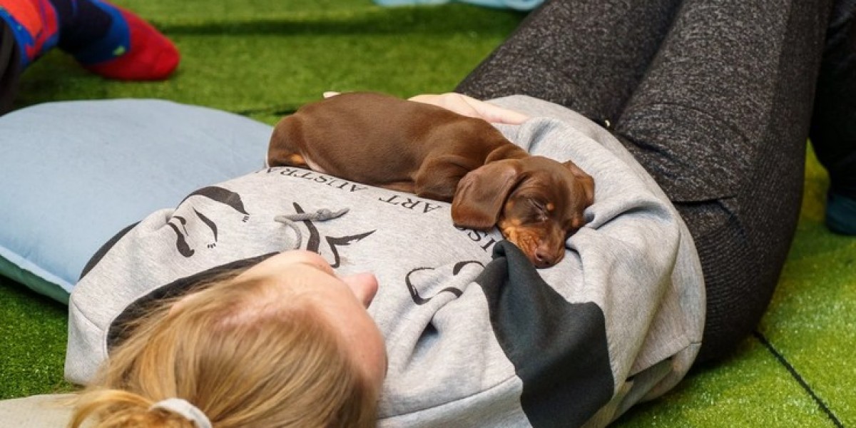 Capture the Cutest Moments at Puppy Yoga London Sessions