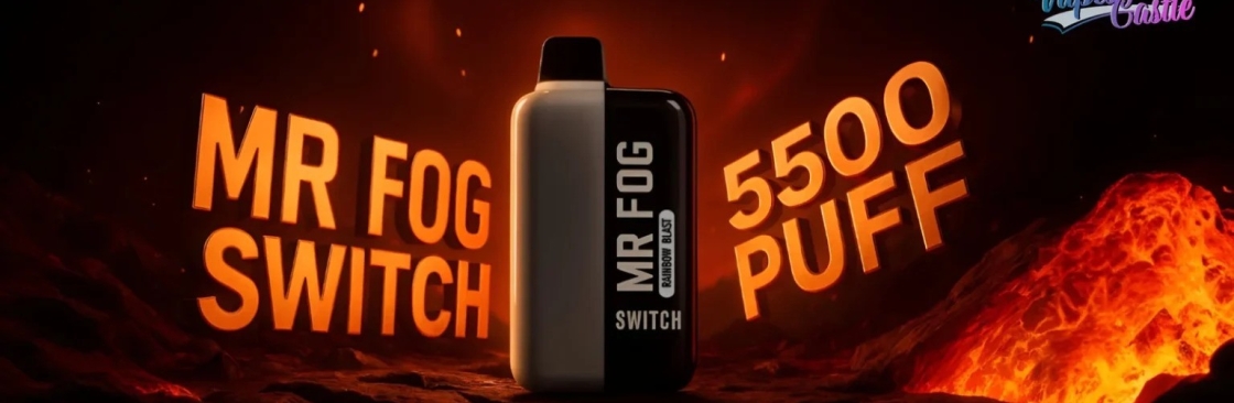 Mr Fog Switch Price