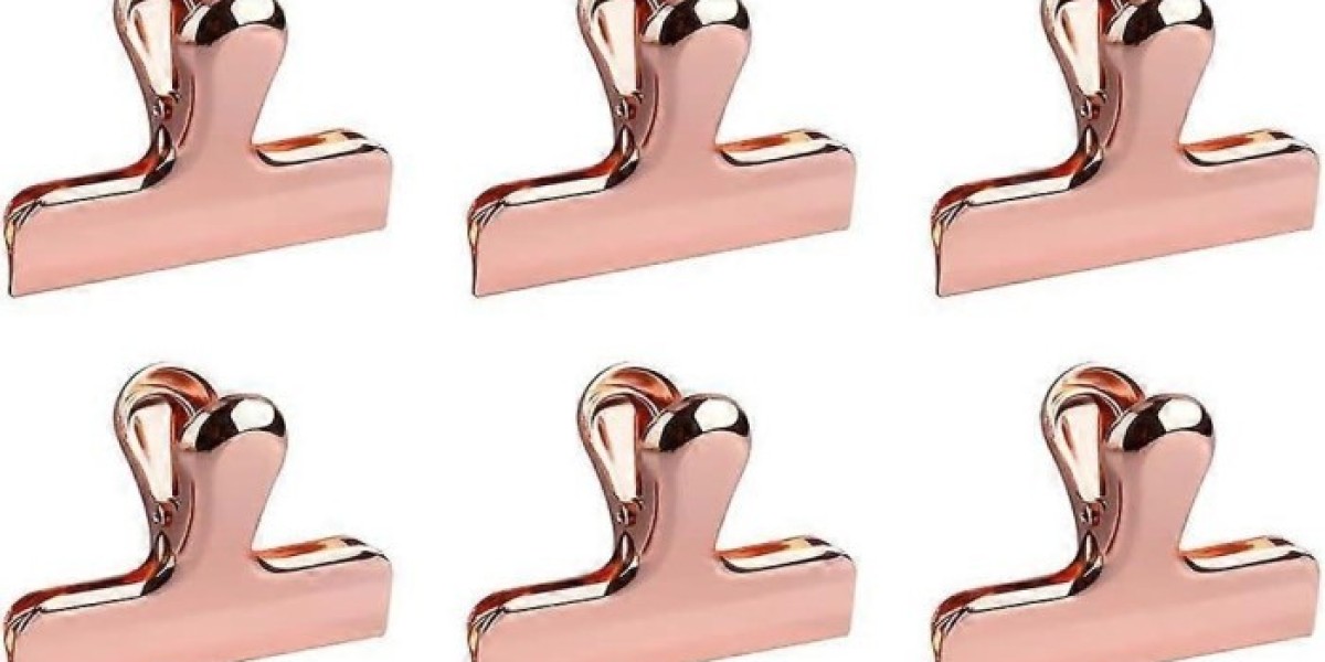 Bag Clips Market 2025 Comprehensive Shares, Historical Trends And Forecast By 2035