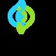 Syngenic enzyme