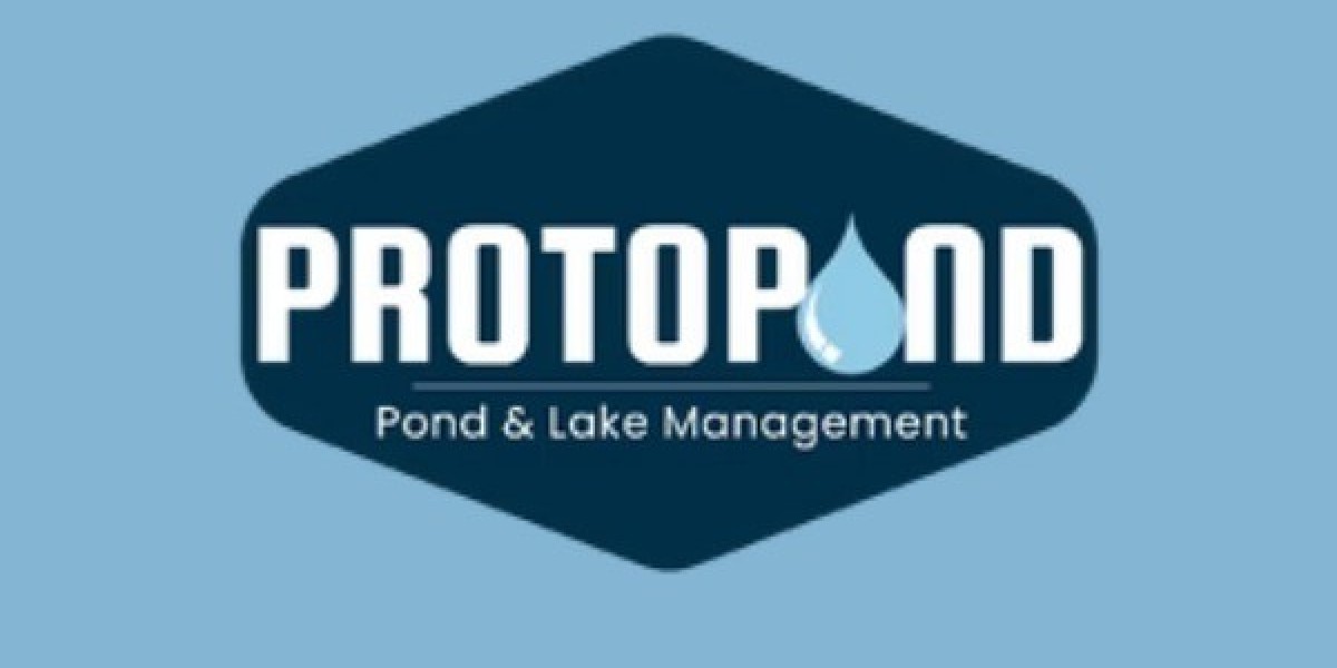 Pond Aerator Guide for Clear Water and Healthy Life