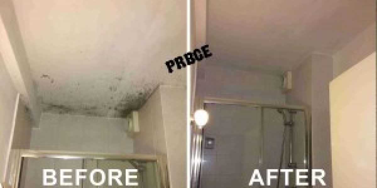 Mould removal specialists Pontypridd