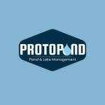 Proto Pond