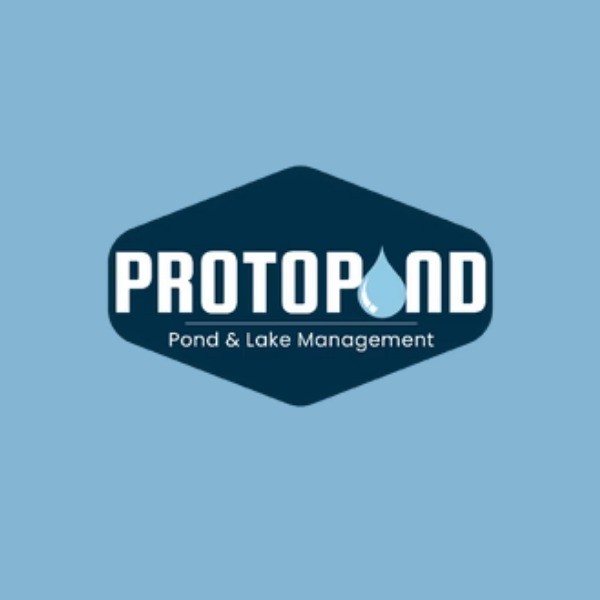 Proto Pond