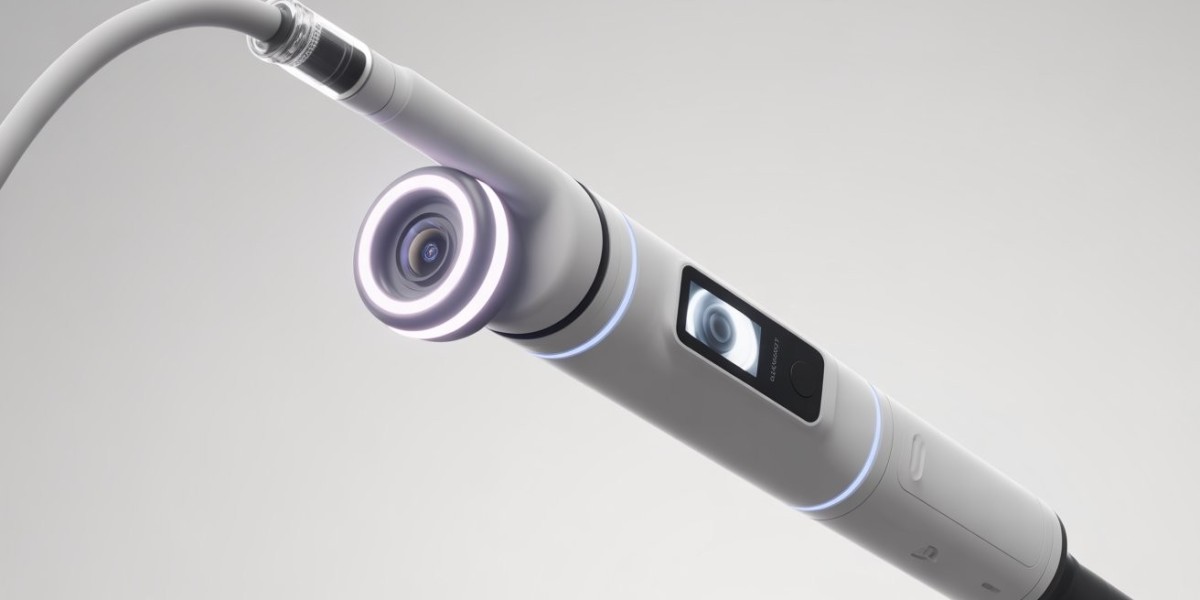Global Handheld Endoscopic Device Market Analysis by Geography: Growth Trends, Innovations, and Future Outlook
