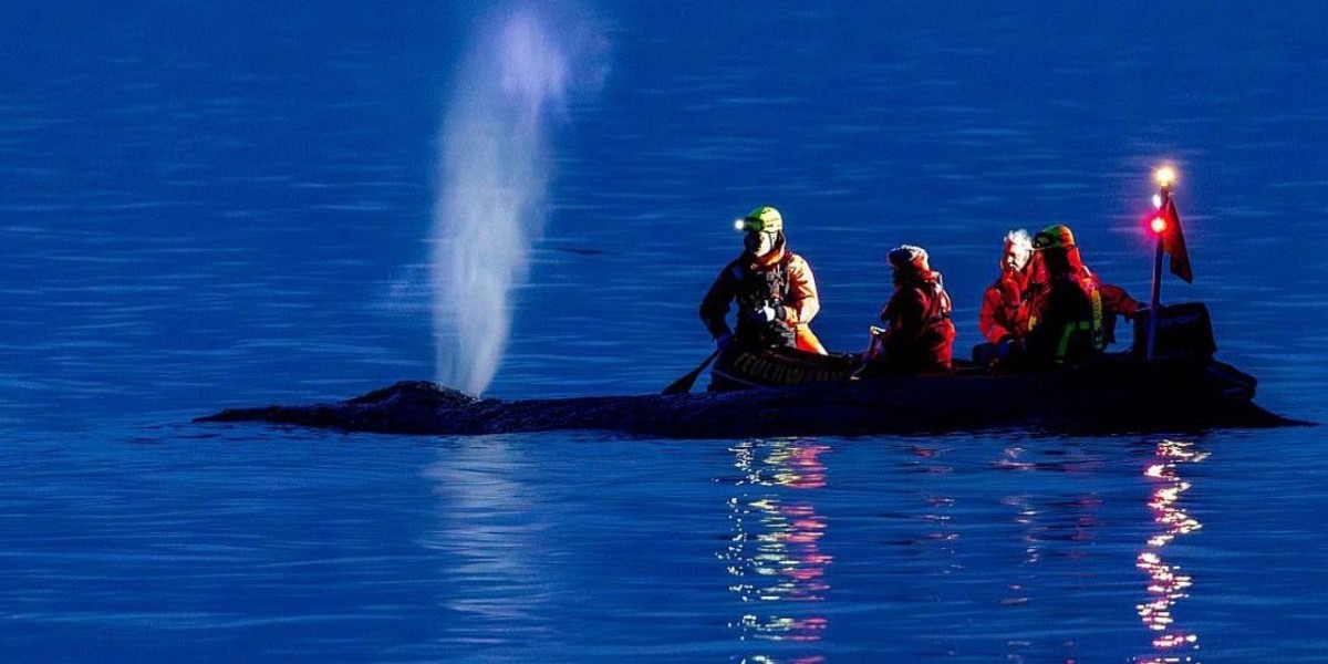 Inspiring Lake Constance: A Powerful Blend of Nature, Culture, and Sustainability