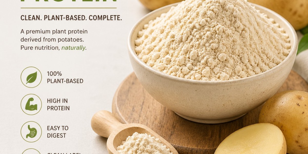 Global Potato Protein Market by 2034: North America Region Analysis, Trends, Drivers, Opportunities, and Future Outlook