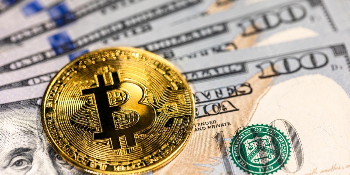 How a White Label Crypto Exchange Reframes the Gap Between Launch and Success