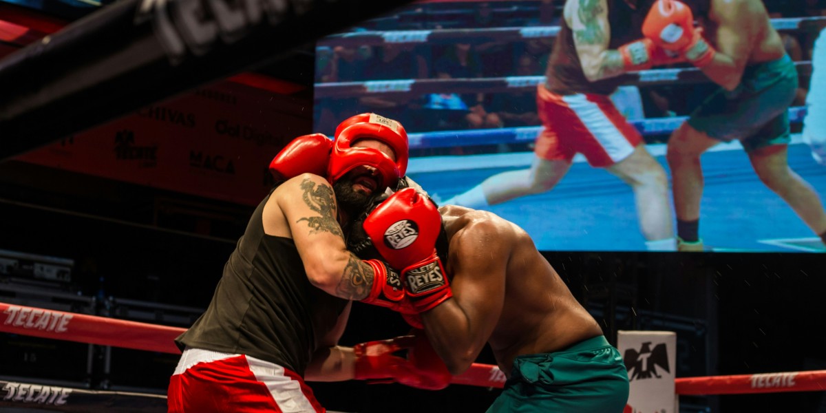 Cincture Kickboxing Complete Guide to Belts, Training, and Fighting Skills
