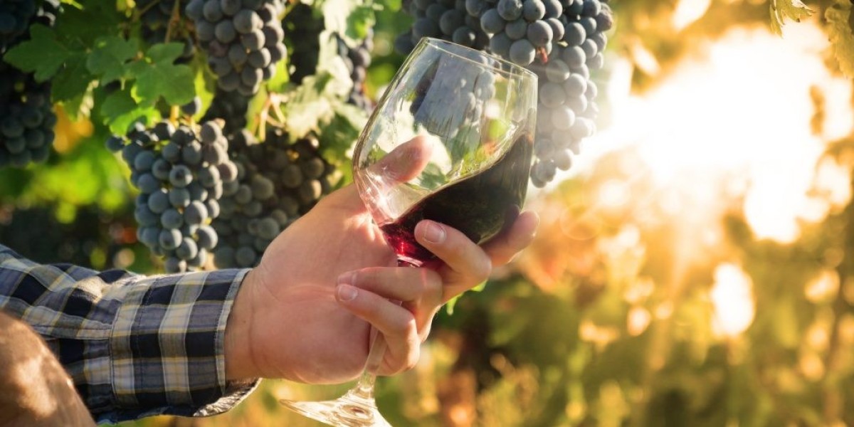How Organic Wine Brands Are Winning Over Young Consumers