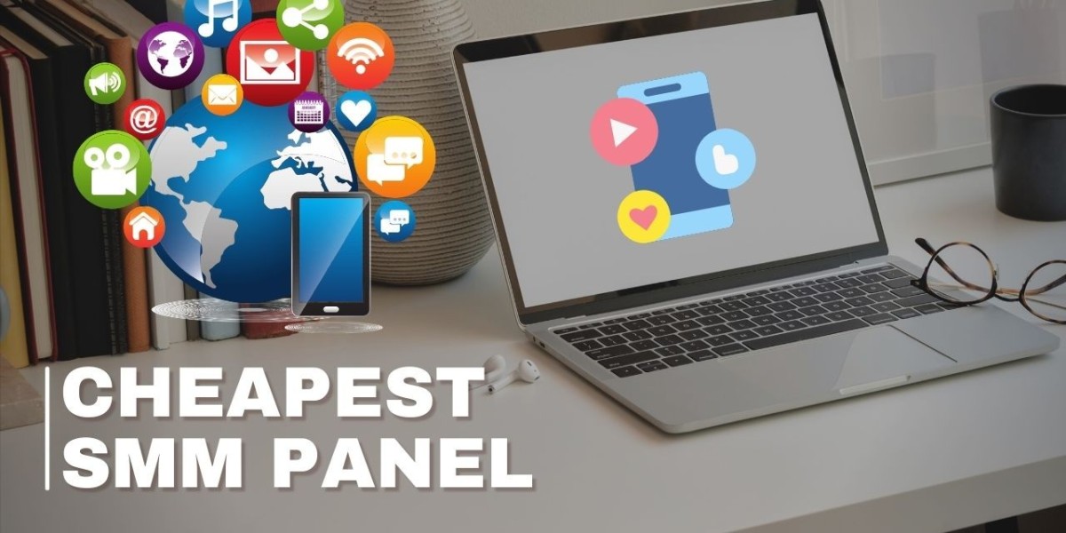 Budget-Friendly SMM Panel Providers for Organic-Like Engagement
