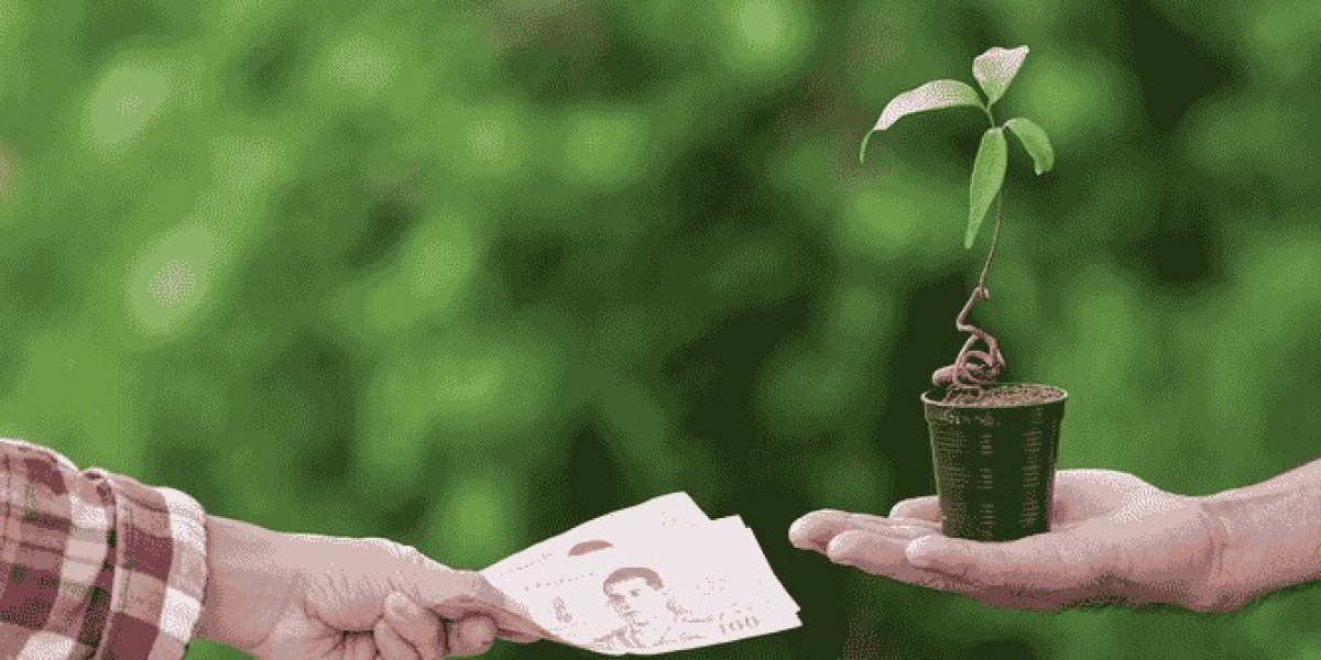 How Carbon Credits Unlock Green Financing for Businesses