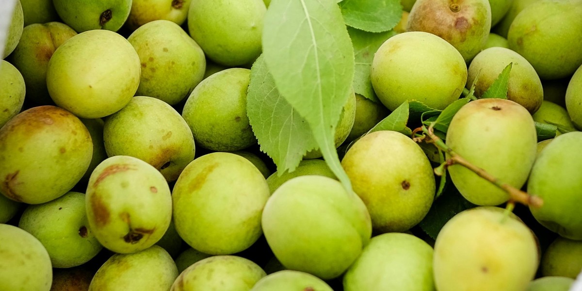 The Global Umeboshi Market Size is Anticipated to Exceed USD 360 Billion by 2033, growing at a CAGR of 6.49% from 2023 t