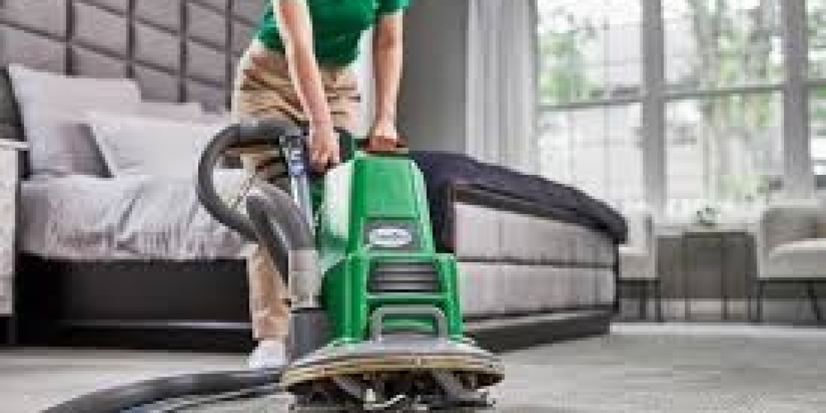 Castle Carpet Cleaners: Expert Carpet Cleaning Services for a Cleaner, Healthier Home
