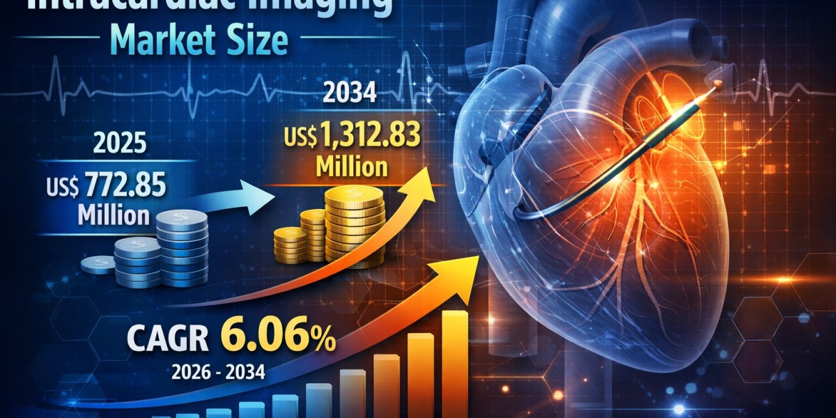 North America Intracardiac Imaging Market Set for Steady Growth with Rising Cardiac Procedures