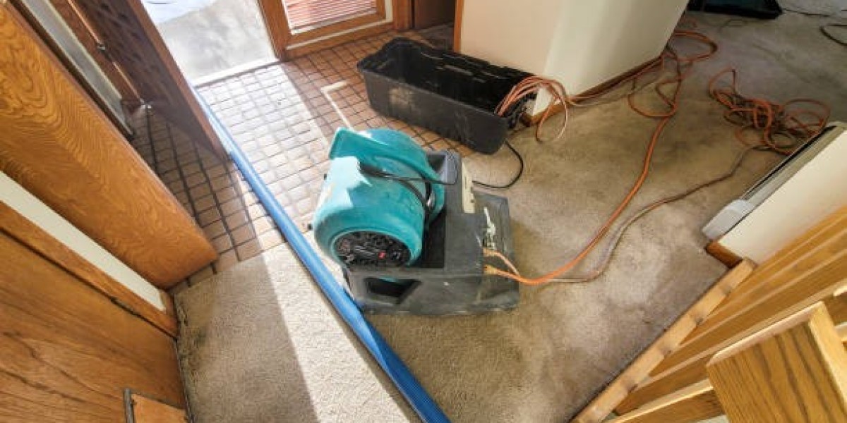 Why Is Quick Action So Important After Water Hits Your Home?