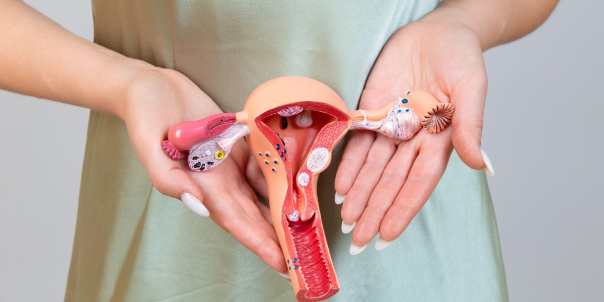Cosmetic Gynaecology in Dubai: Choosing the Right Clinic and Specialist