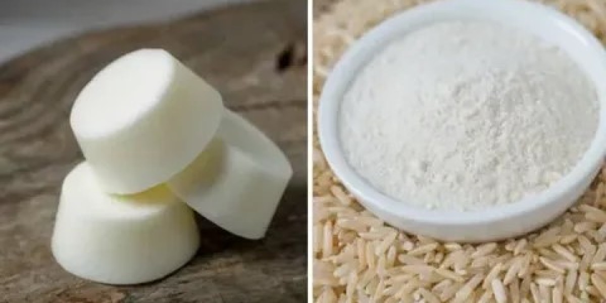 Rice Shampoo Bar Market Insights, Growth Analysis & Outlook 2026–2036