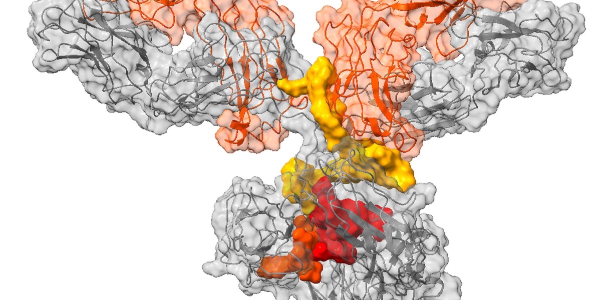 Small Molecule-Drug Conjugates Market