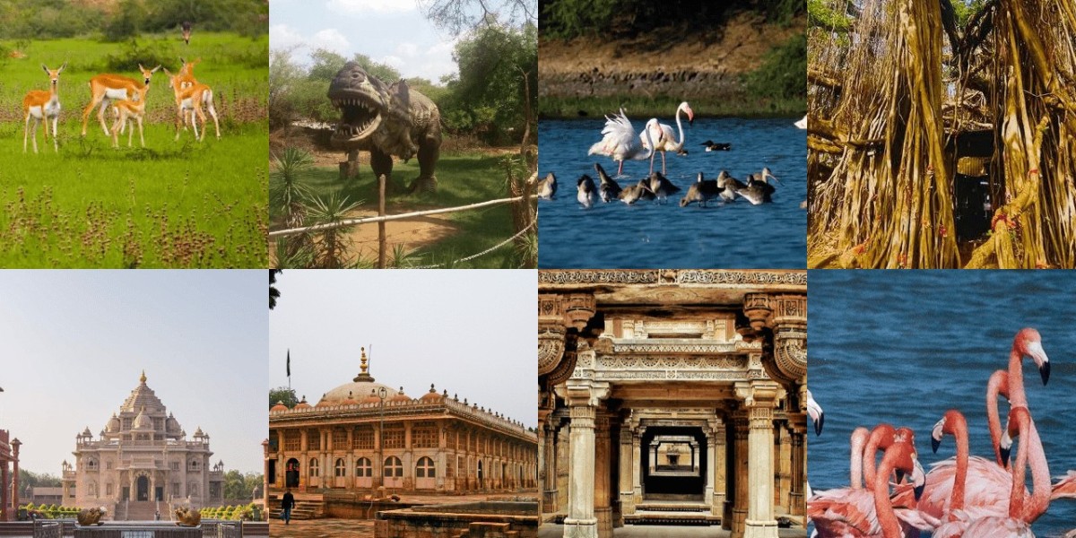 Ahmedabad Travel Guide: A Detailed 2-Day City Itinerary