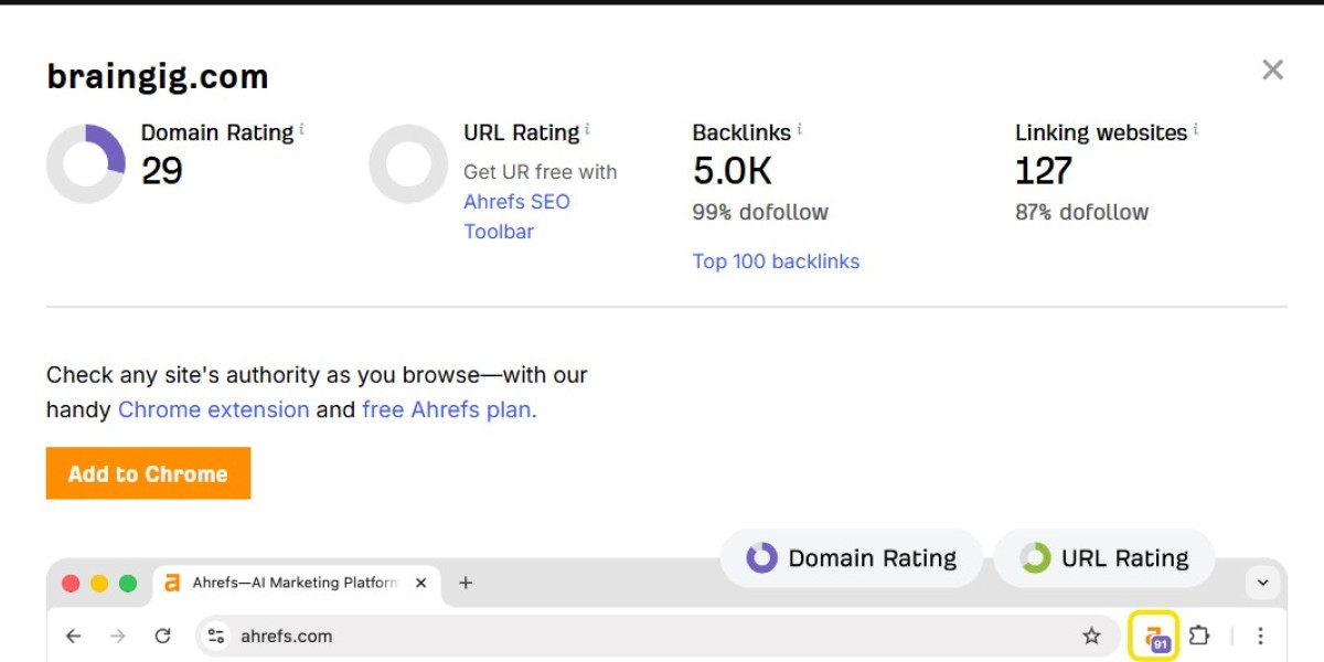 From Idea to Impact: The Power of Custom Website Development