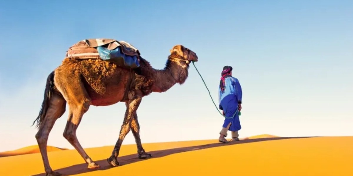 How to Plan the Most Memorable and Authentic Morocco Tours in 2026