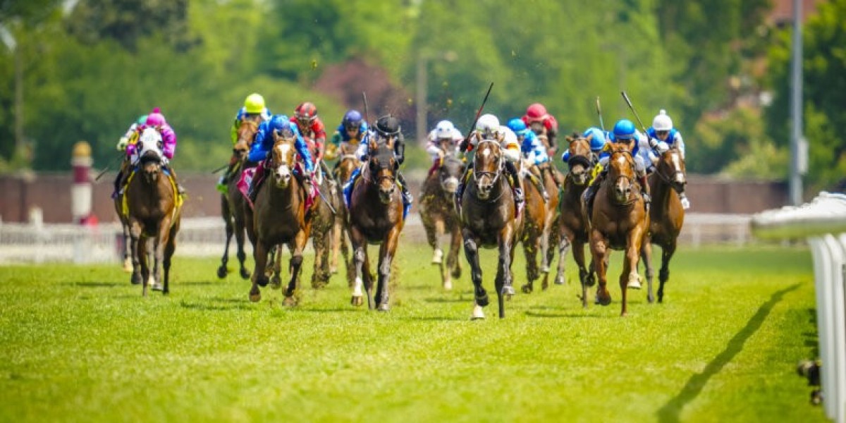 How playinhorse Fits Into the Modern Sports Information Era