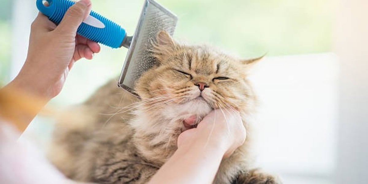 Can Cat Grooming Prevent Skin Irritation?