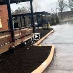 Cardinal Janitorial Services