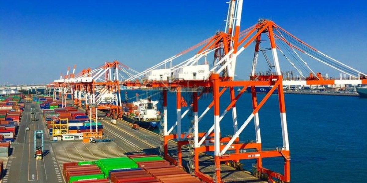 Key Insights into Customs Clearance in Brisbane for Smooth Trade Operations