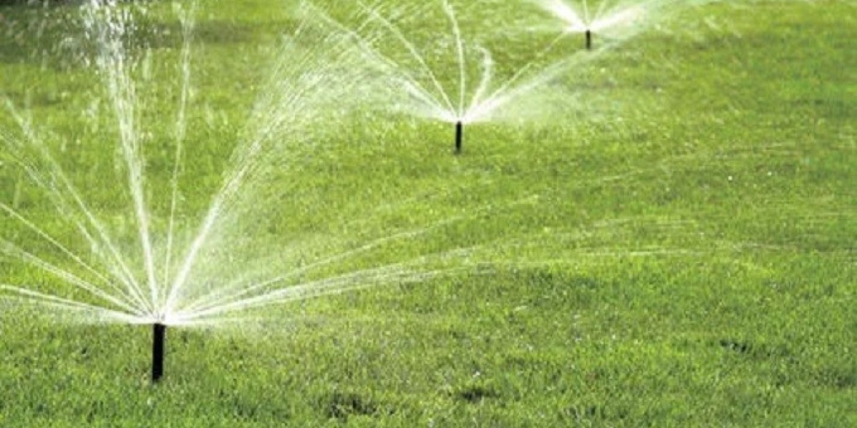 Professional Sprinkler Repair Benbrook Texas for Fast and Reliable Service