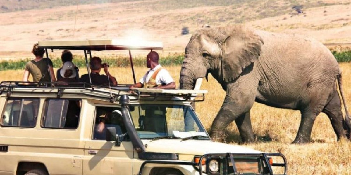 Zanzibar a Tanzania: Where Island Dreams Meet African Adventure