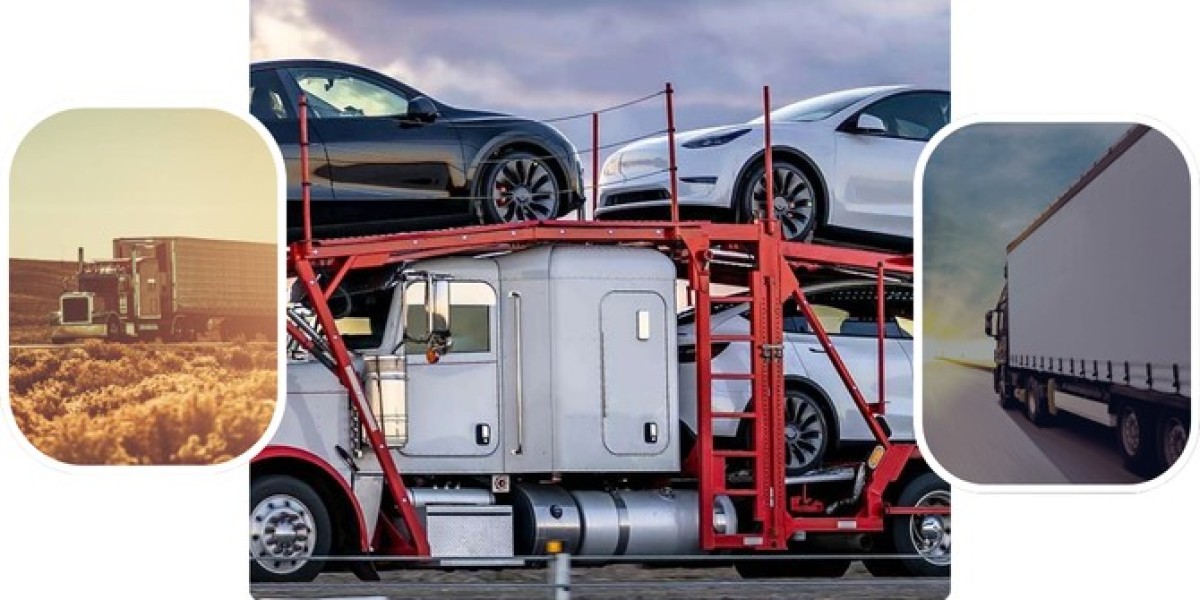 Complete Guide to Reliable Auto Transport Services in the United States