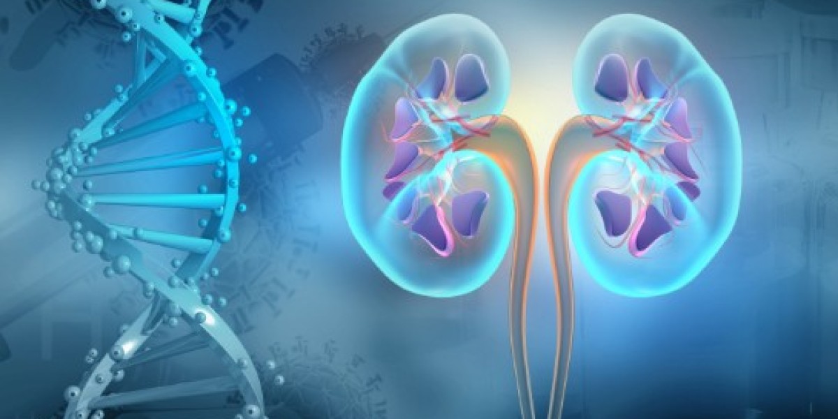Global Chronic Kidney Disease Therapeutics Market: Trends, Drivers, and Forecast