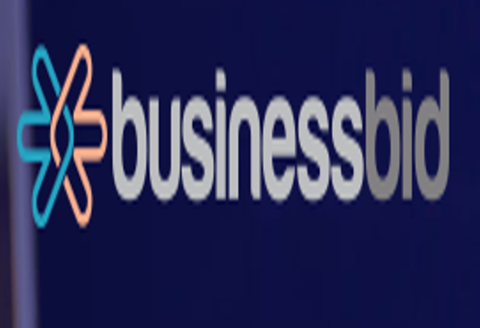 businessbid5