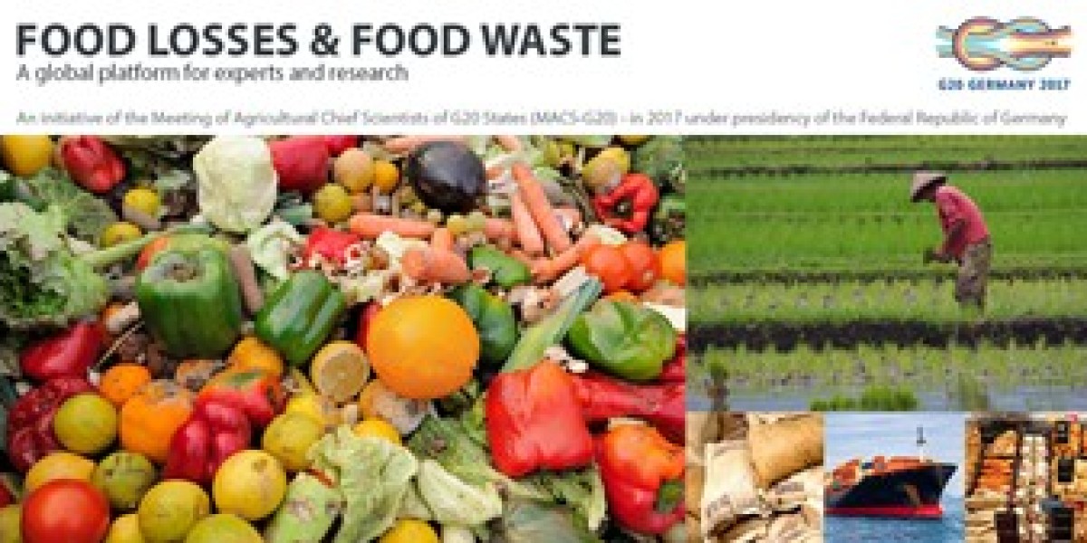 Smart Food Loss Reduction Solutions Transforming Agriculture