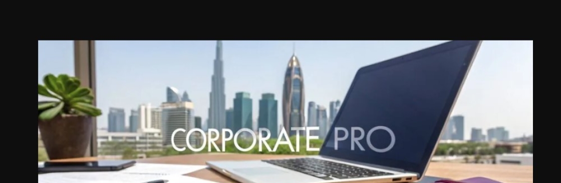 Pro Services