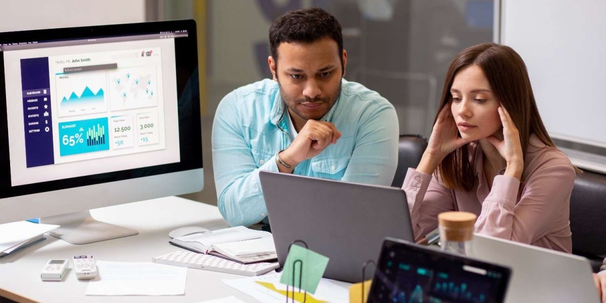 What Does It Take to Make Custom Software?