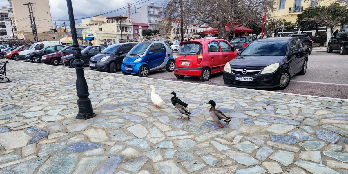 Family-Friendly Apartments for Sale in Rhodes: What to Look For