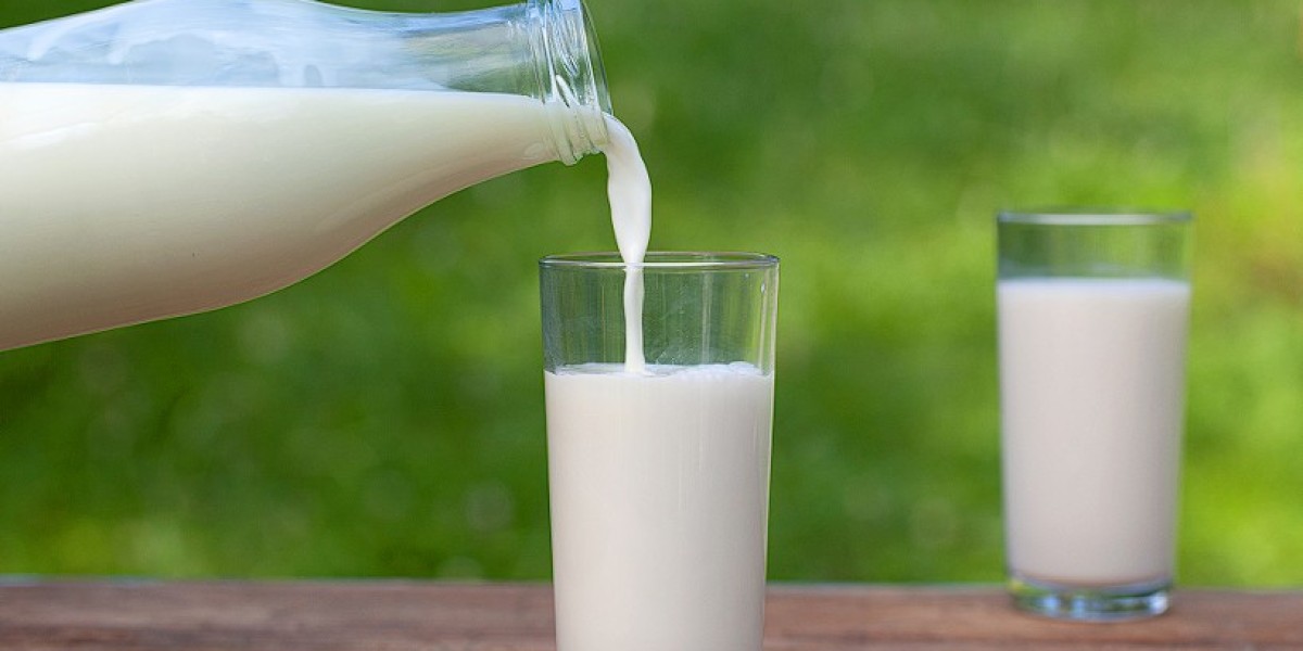 Premium A2 Milk Dubai – Pure, Healthy & Easily Digestible Dairy