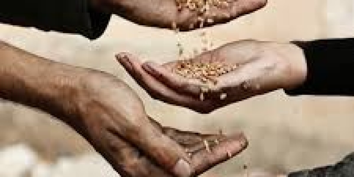 Islamic Charity
